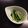ララコママ's cooksnap of when they made 我が家の簡単ピクルス.