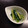 ララコママ's cooksnap of when they made 我が家の簡単ピクルス.
