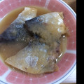 あつえもん's cooksnap of when they made ☺簡単和食♪味噌煮以外で☆鯖のおろし煮☺.