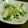 トマたろう's cooksnap of when they made 長いもとツナと貝割れのサラダ.