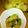 す　じ　こ's cooksnap of when they made 白菜の浅漬け.