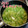 めぐみっと's cooksnap of when they made たれ家秘伝（？）のネギショウガのお味噌汁.