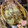 さわそらん's cooksnap of when they made 厚揚げ納豆チーズ焼き.