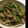 ナナヒカ's cooksnap of when they made 蒲鉾入り豆苗、エリンギのおかか炒め.