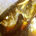 HANAはなこ's cooksnap of when they made 簡単☆我が家の失敗しない煮魚☆.