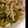 ryoko1025's cooksnap of when they made ごはんがすすむ☆豚こまの青椒肉絲＊簡単.