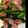 あんなママ、こりん。's cooksnap of when they made 小松菜とベーコンのバター炒め.