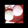 ゆうちょむママ's cooksnap of when they made 簡単!!雪大福♡（苺大福）.