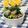 ぽっぽぺぺ's cooksnap of when they made 豚肉と小松菜炒め.