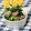 ぽっぽぺぺ's cooksnap of when they made 豚肉と小松菜炒め.