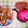 halulun3's cooksnap of when they made 炒めてFPするだけ！簡単！レバーパテ！.