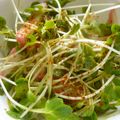 Satoco❋'s cooksnap of when they made 給料日前の簡単かいわれおつまみ♪.