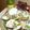 Satoco❋'s cooksnap of when they made 簡単！美味！はまぐりの酒蒸し.