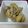 ミルク１８'s cooksnap of when they made 付け合せやお弁当に♪バジルマカロニサラダ.