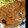 星やん's cooksnap of when they made 簡単で美味しい♪生姜焼き.