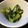 のんのんSTELLA's cooksnap of when they made ツ〜ンッ！美味しい小松菜の浅漬け.