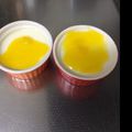 ほにょママぺんぎん's cooksnap of when they made マンゴーパンナコッタ.