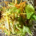 なぎ×なぎ's cooksnap of when they made ゴマドレ柚子こしょうツナの彩り惣菜サラダ.