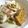 柳さき's cooksnap of when they made ◎厚揚げとベーコンのあっさり煮.