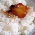 カルチョーフィ's cooksnap of when they made 【肴】卵黄の醤油漬け.