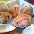 だめダイバーうさこ's cooksnap of when they made 簡単！美味！はまぐりの酒蒸し.