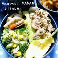 えまっちママ's cooksnap of when they made ごはんに合う☆きんぴら蓮根✿.