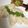 ♡ＭＩＫＡＣＨＵ♡'s cooksnap of when they made ポリ袋で♪蒸し鶏♪.