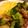 ちゃことゆうな's cooksnap of when they made ✿朝食にブロッコリーとウィンナー炒め.