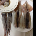 りょーみー's cooksnap of when they made イカ（するめイカ）の下処理【動画プラス】.
