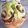 ニコニコ＾＾'s cooksnap of when they made 抹茶餡食パン.