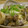 Sｅｐ's cooksnap of when they made あさりと豆腐の炒め物☆.