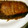 mbeaute's cooksnap of when they made 鰤のしょうがみそ焼き.