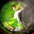 VanDyke's cooksnap of when they made 菜の花と焼き海苔のお味噌汁.