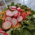 春と水's cooksnap of when they made 毎日食べよう、野菜たっぷりサラダ.