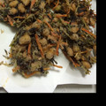 ソウくんママ's cooksnap of when they made 大豆とひじきのかき揚げ.