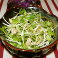 Satoco❋'s cooksnap of when they made かいわれとささみのわさび和え.