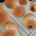 ミントみんと☆'s cooksnap of when they made 牛乳アレルギーOK！簡単ふわふわプチパン.