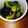 あいぼんｗ's cooksnap of when they made 大根とほうれん草のナムル.