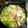 3boysママ☆'s cooksnap of when they made 豚バラ肉とキャベツの簡単にんにく鍋.
