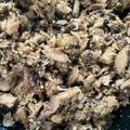 クック11HLNQ☆'s cooksnap of when they made サバ缶そぼろ。.