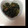 ＊もっこ＊'s cooksnap of when they made ほうれん草のおひたし.