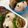 ちゃまたまご's cooksnap of when they made おしり探偵 キャラ弁.
