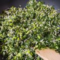 taorin_3's cooksnap of when they made いくらでも食べられる☆大根葉のごま油炒め.
