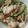 ぐみよー's cooksnap of when they made 豆腐ときゅうりの梅ごまサラダ.