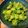 ちょこバナナパフェ's cooksnap of when they made ふきのとう大量消費！！感動おひたし！！.