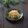 まろんかふぇ's cooksnap of when they made 柿のなます（酢の物）.