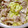 ぱっとくっく's cooksnap of when they made 簡単すぎ！うますぎ！きゃべつの土鍋蒸し.