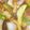 ワンコ！'s cooksnap of when they made 茄子とピーマンの味噌炒め.