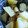 ☆しいたんママ☆'s cooksnap of when they made ひとくちジャガイモのおかか和え.