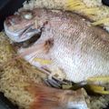 ウッピィ's cooksnap of when they made 30分でできる！簡単本格！お鍋で鯛めし.